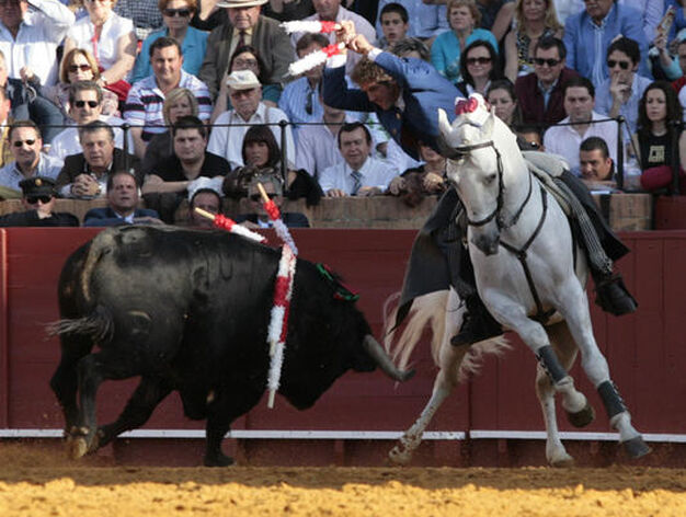 Pablo Hermoso de Mendoza frente al toro se dispone a colocar el par de banderillas.

Foto: Juan Carlos Mu&ntilde;oz