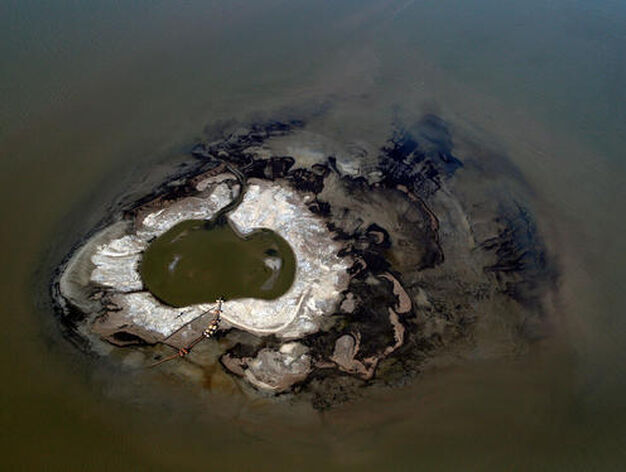 El petr&oacute;leo vertido en el Golfo de M&eacute;xico por una plataforma petrol&iacute;fera amenaza las costas estadounidenses de Luisiana.

Foto: Chris Graythen/ Reuters AFP