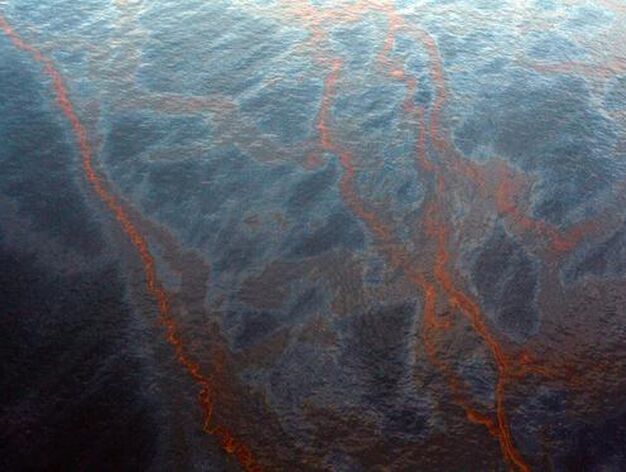 El petr&oacute;leo vertido en el Golfo de M&eacute;xico por una plataforma petrol&iacute;fera amenaza las costas estadounidenses de Luisiana.

Foto: Chris Graythen/ Reuters AFP