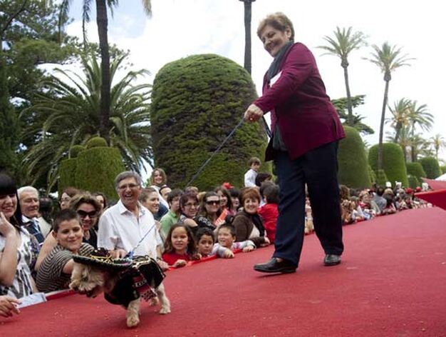 M&aacute;s de 500 perros participaron en el evento, que cont&oacute; con una exhibici&oacute;n de las Fuerzas del Orden


Foto: Lourdes de Vicente
