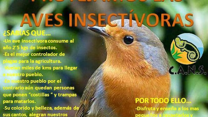 Parte del cartel informativo editado por el grupo ecologista chipionero.