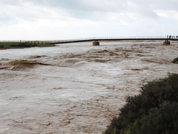Imágenes del temporal en la provincia de Cádiz