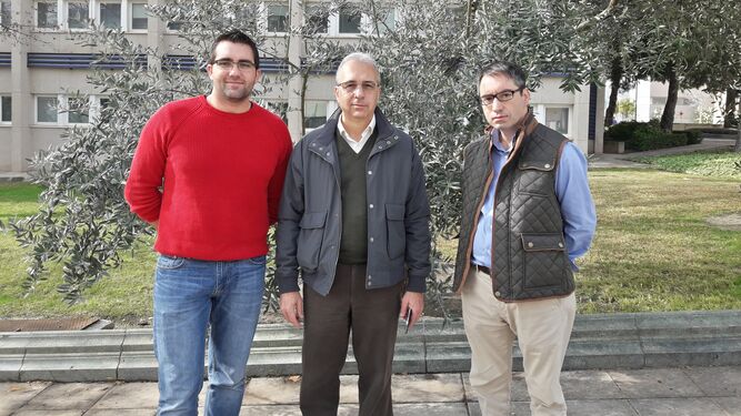 Los investigadores implicados en el proyecto (de izquierda a derecha): Jaime Jiménez Ruiz, Francisco Luque Vázquez y Ricardo Oya Aponte.