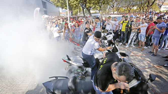 Varios motoristas queman rueda en Jerez, animados por el público.
