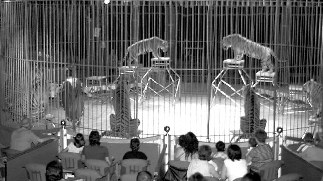 Un espectáculo circense con fieras celebrado en San Fernando, en una imagen de archivo.