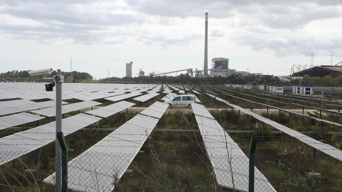 Planta fotovoltaica en la zona de Guadarranque, en San Roque (Cádiz).