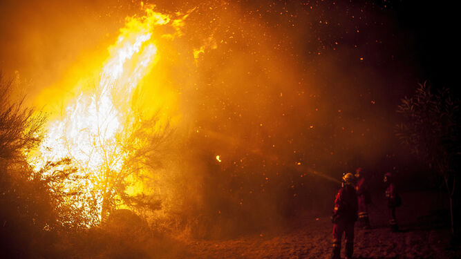 La UME trabajando en la extinción del incendio en Verín