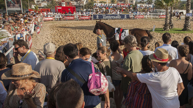 Un caballo pasa ante el público congregado en Las Piletas.