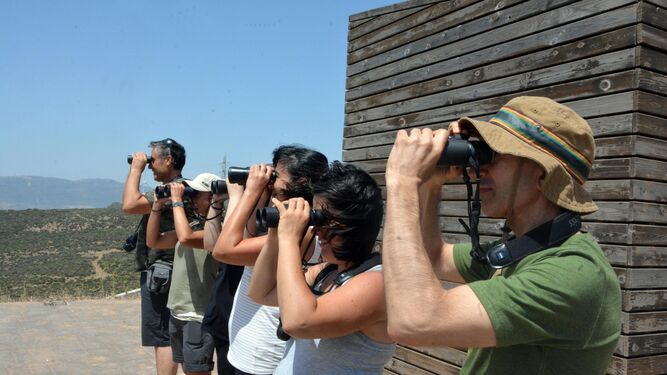 Un grupo de aficionados a la ornitología observa el paso de las aves desde el Mirador del Estrecho, en Cazalla.