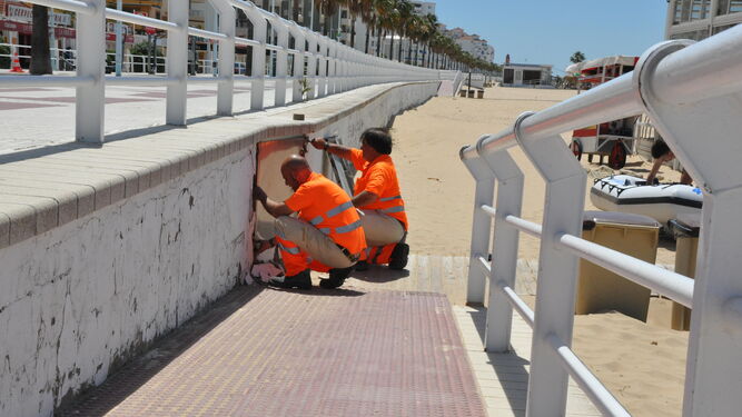 Operarios del servicio municipal de playas realizando labores de mantenimiento.