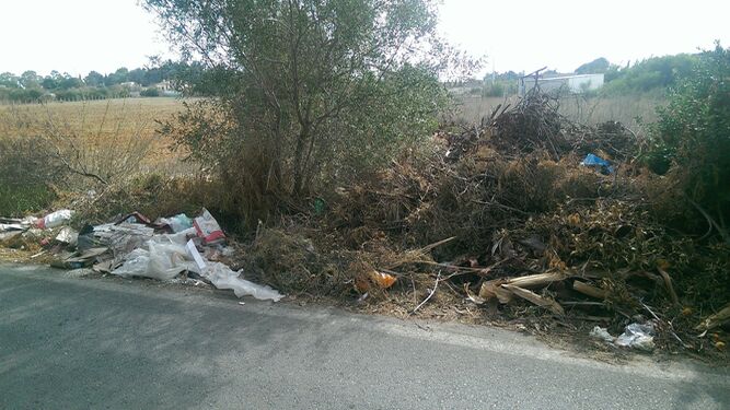 Acumulación de restos de poda junto a una carretera.