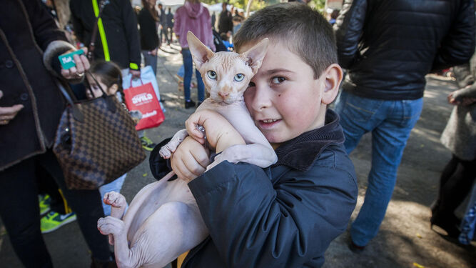 Un niño posa con su gato, ayer en el parque Almirante Laulhé.