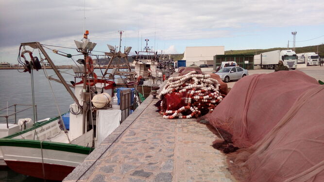 Varios pesqueros atracados en el puerto de Barbate.