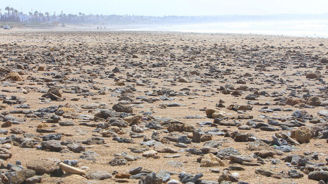 Aspecto que presentaba ayer la primera pista de la playa de La Barrosa, repleta de piedras y rocas.