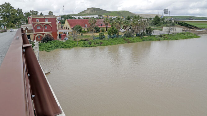 El río a su paso por el puente de La Cartuja, ayer.