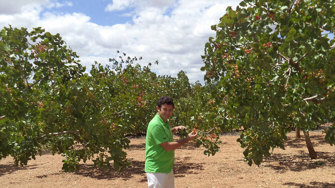 El editor y agricultor, en su plantación de pistacheros en Alcalá del Valle.