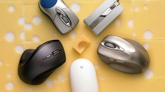 Los 10 mejores ratones del 2024: HP, Logitech, Razer ¿cuál comprar?