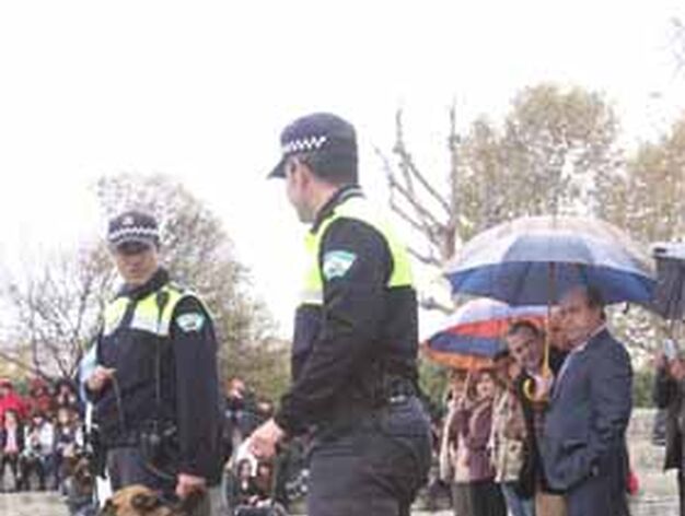 C&oacute;mo los perros de la Polic&iacute;a Local de Granada detectan la droga en los colegios