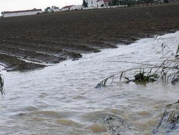 Las fuertes precipitaciones han ocasionado el desbordamiento de un riachuelo en Valdezorras afectando a los cultivos.

Foto: J. C. V&aacute;zquez, B. Vargas y A. Pizarro