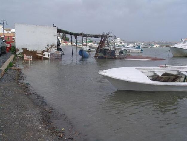 La crecida de los r&iacute;os provoca numerosas inundaciones en Huelva. / Reportaje fotogr&aacute;fico de Correa y Espinosa.