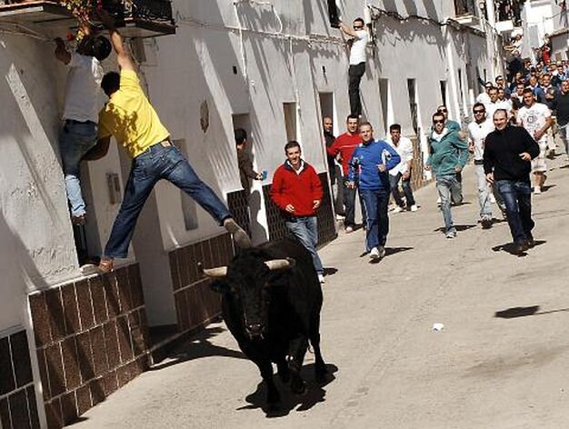 El primer toro del d&iacute;a, por la calle Alta. 

Foto: Ramon Aguilar