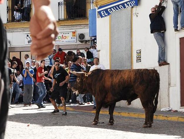 El segundo toro provoc&oacute; da&ntilde;os a los corredores.

Foto: Ramon Aguilar