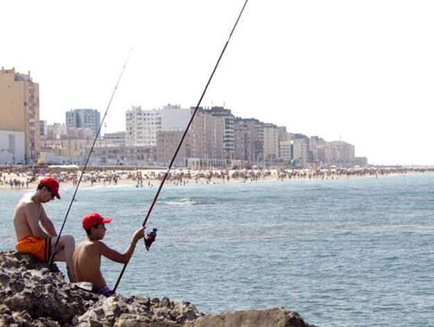 Estado que han presentado durante este fin de semana las playas de la capital.

Foto: Lourdes de Vicente