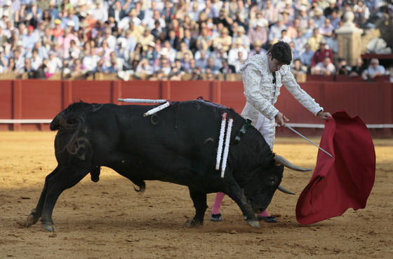 Alejandro Talavante con el tercer toro.

Foto: Juan Carlos Mu&ntilde;oz