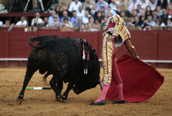 Perera con el quinto toro de la tarde.

Foto: Juan Carlos Mu&ntilde;oz