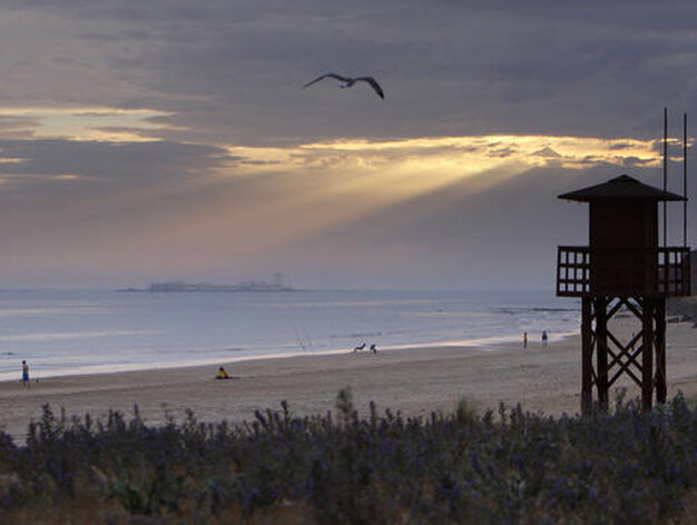 Anochece en las playas de la provincia de C&aacute;diz

Foto: J.D. Corzo; Jos?raza ; Ram?guilar; Rioja