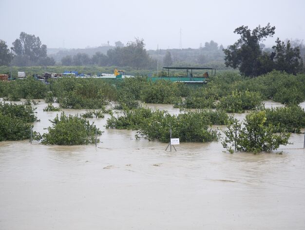 Im&aacute;genes de las fuertes lluvias en la provincia