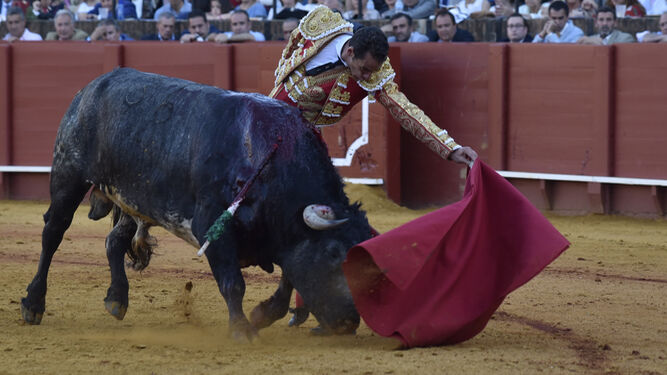 Pepe Moral en un natural al toro 'Amapolo', de la ganadería de Miura, al que cortó una oreja, el pasado domingo.