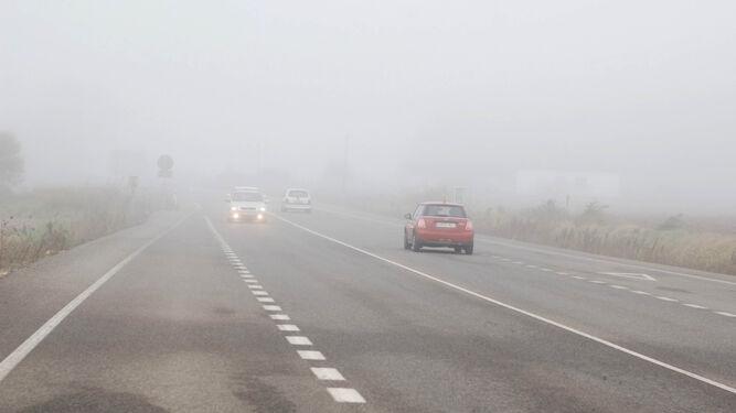 Imagen de archivo de la carretera entre Bornos y Villamartín durante un día de niebla.