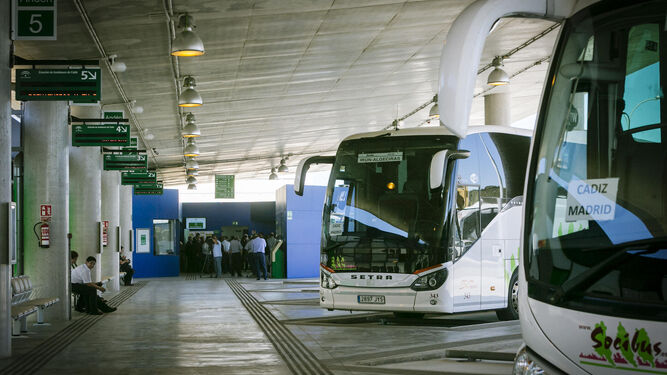 Dos autobuses de la empresa Socibus estrenaron ayer la nueva estación intermodal.