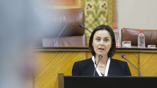 Ana Luís, la nueva presidenta de la Calre, ayer en el Parlamento.