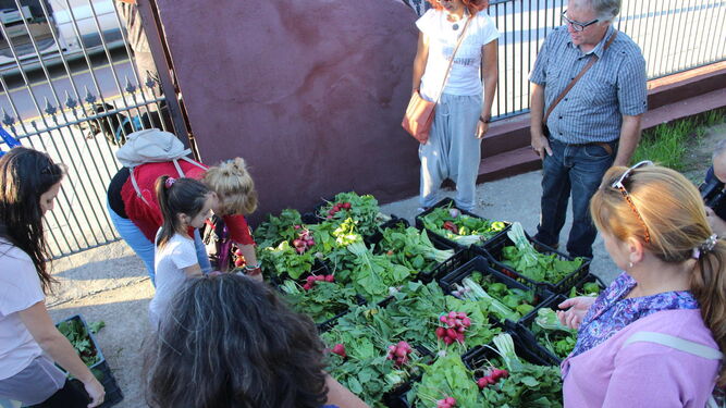 Los miembros de La Piña Piñonera, recogen las cestas de verduras de La Reverde, en Jerez.