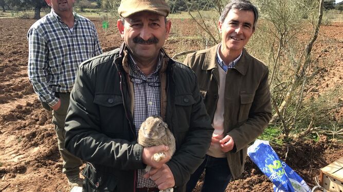 La Junta libera 50 conejos en una finca de Algodonales