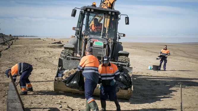 Operarios municipales limpiando la playa de La Calzada.