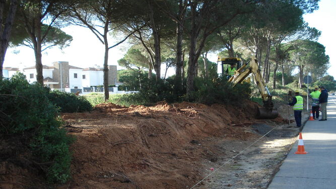 Una excavadora en uno de los márgenes de la carretera que conduce a La Barrosa, donde realiza movimientos de tierra desde hace unos días.