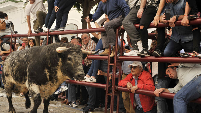El público busca refugio ante el segundo toro del domingo en Arcos.