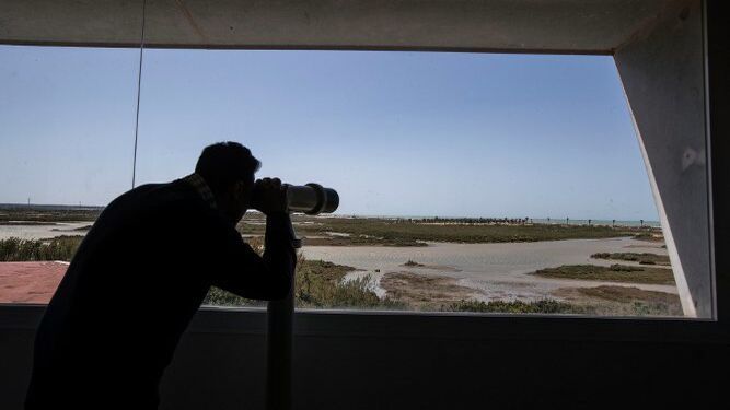 El mirador con vistas al Parque Natural de la Bahía que se ubica en el centro de visitantes, donde este sábado se celebra el Día Mundial de las Aves Migratorias, una de las propuestas del fin de semana.