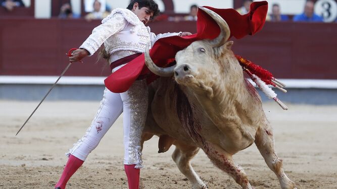 Finito de Córdoba, en una verónica al toro que abrió plaza, primero de su lote.
