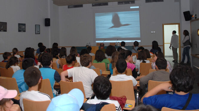 Un grupo de escolares, durante una actividad en el Centro de Visitantes del Parque Natural de la Bahía de Cádiz.