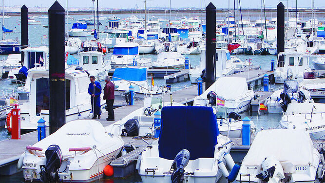 Numerosas embarcaciones atracadas en uno de los puertos deportivos de la provincia de Cádiz.