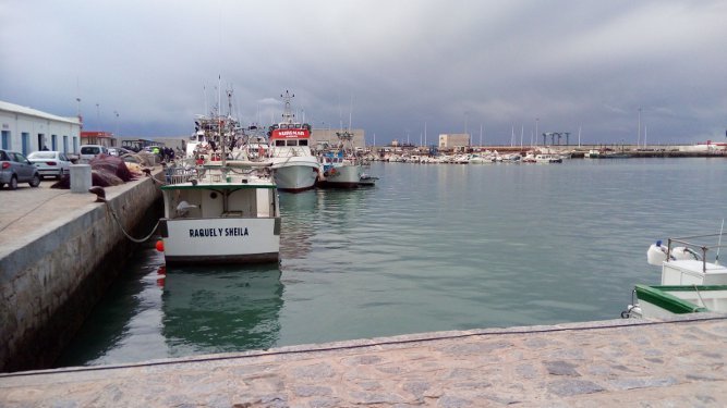 Barcos aparcados en el puerto de Barbate.