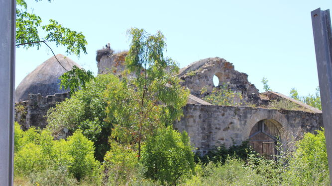 La ermita de San Ambrosio, casi invadida por la vegetación, en una fotografía de junio de 2016.