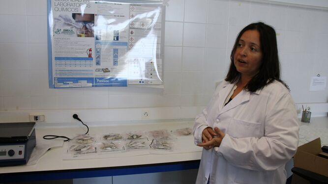 Julia Vélez dirige los laboratorios.