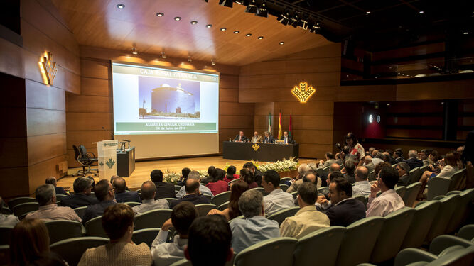 Imagen de la Asamblea General Ordinaria de Caja Rural Granada, celebrada ayer.