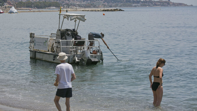 Un barco recoge medusas este lunes en La Malagueta.
