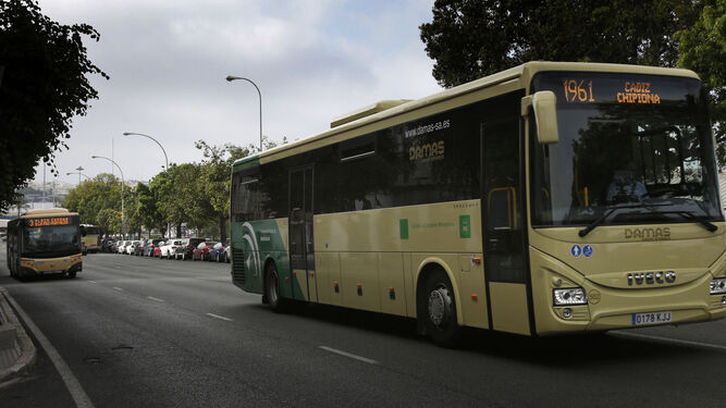 Dos autobuses circulan por la Cuesta de las Calesas, en la capital gaditana.